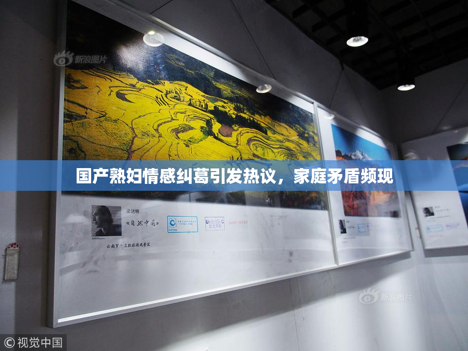 国产熟妇情感纠葛引发热议，家庭矛盾频现