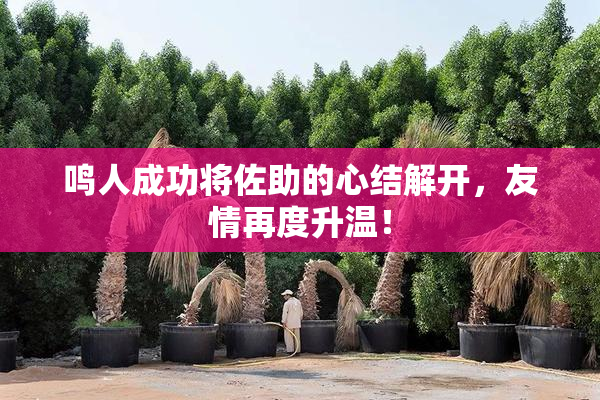 鸣人成功将佐助的心结解开，友情再度升温！