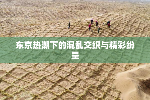 东京热潮下的混乱交织与精彩纷呈