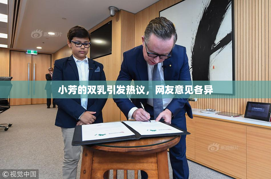 小芳的双乳引发热议，网友意见各异
