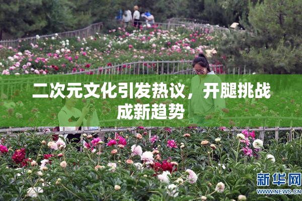 二次元文化引发热议，开腿挑战成新趋势