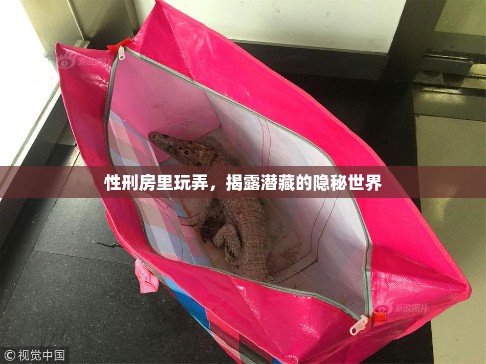性刑房里玩弄，揭露潜藏的隐秘世界
