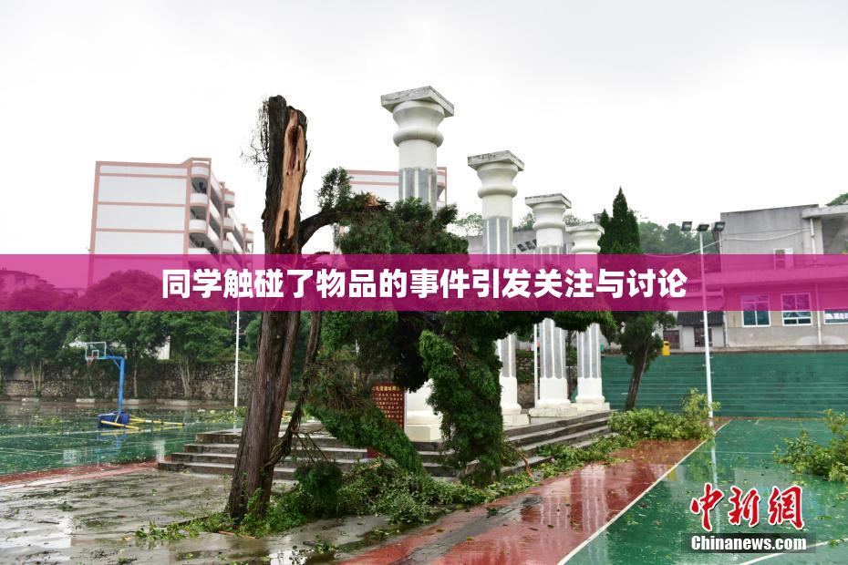 同学触碰了物品的事件引发关注与讨论