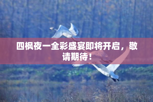 四枫夜一全彩盛宴即将开启，敬请期待！