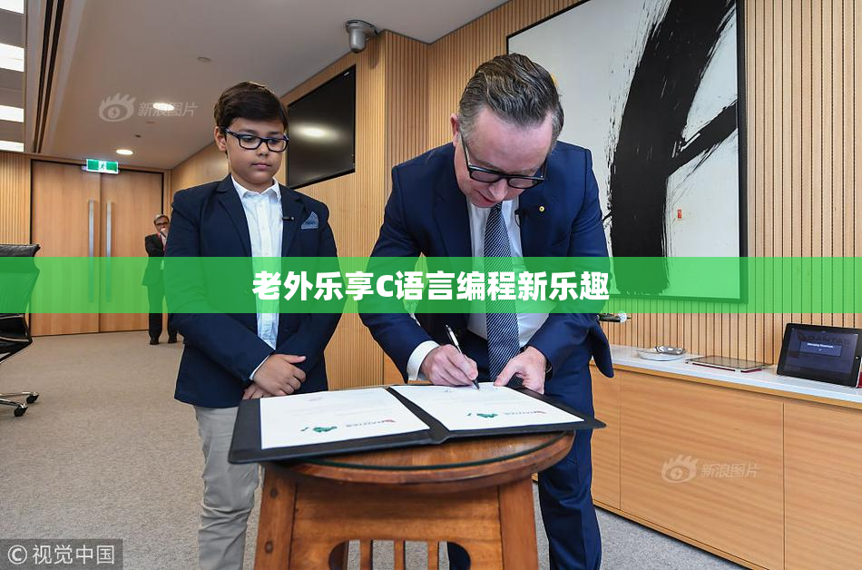 老外乐享C语言编程新乐趣