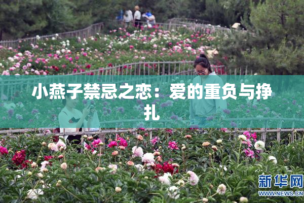 小燕子禁忌之恋：爱的重负与挣扎