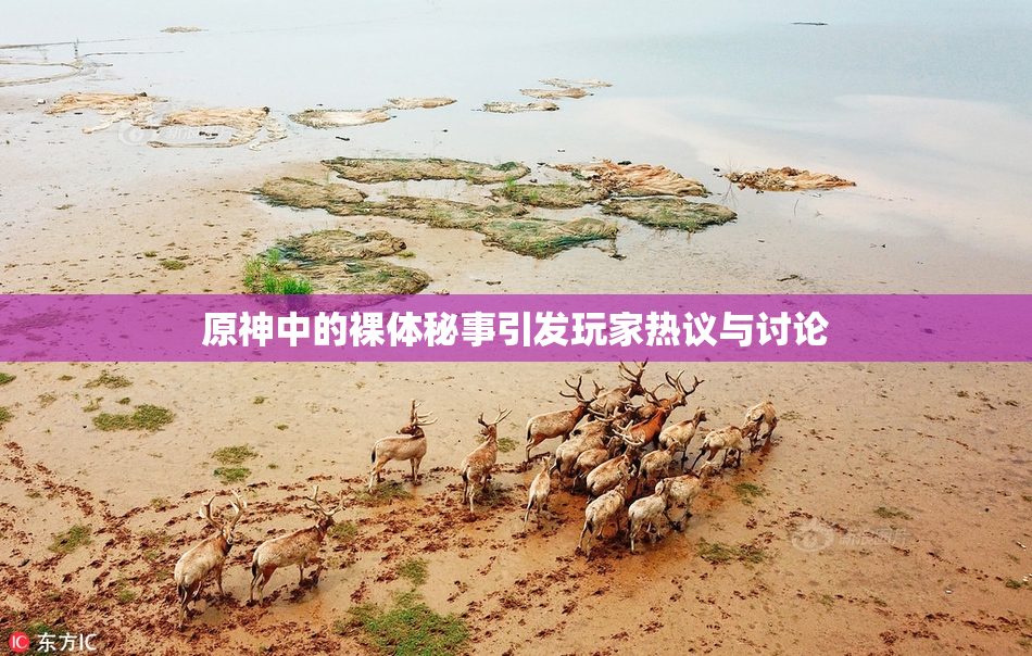 原神中的裸体秘事引发玩家热议与讨论