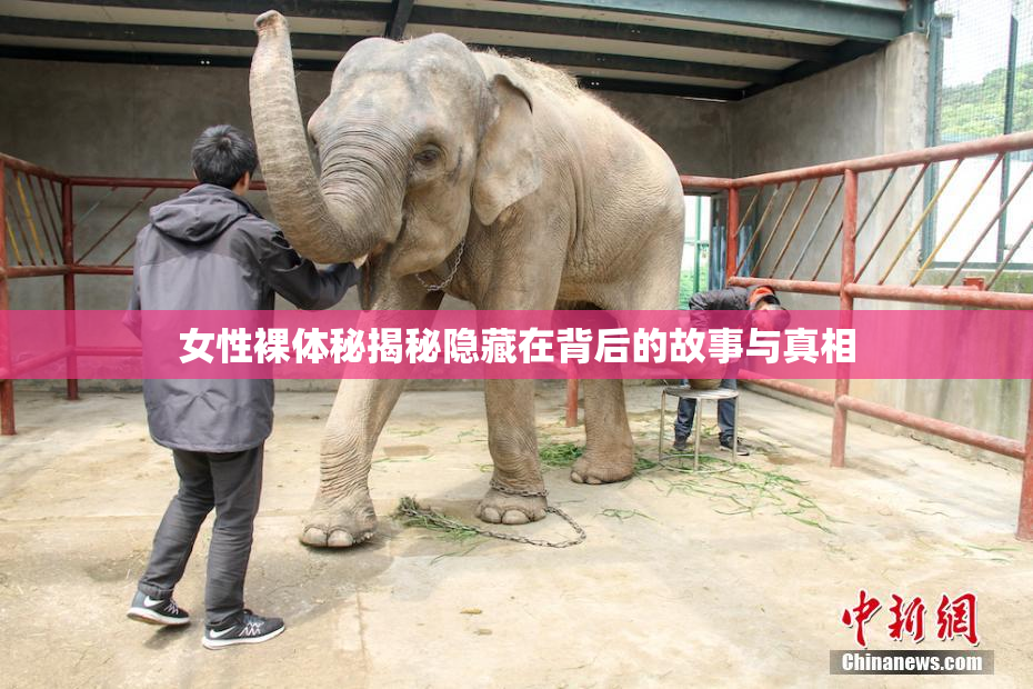 女性裸体秘揭秘隐藏在背后的故事与真相