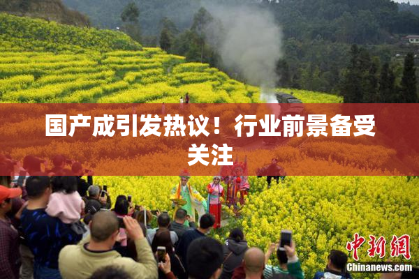 国产成引发热议！行业前景备受关注