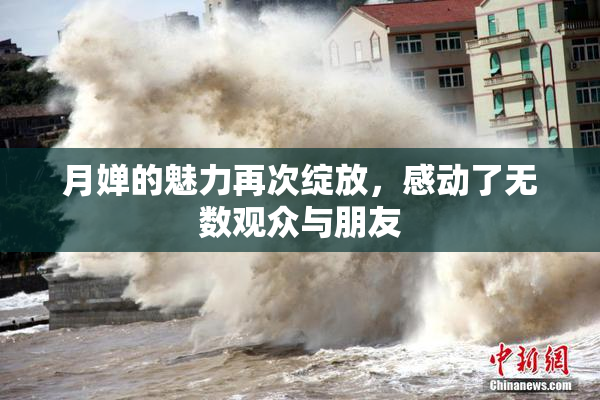 月婵的魅力再次绽放，感动了无数观众与朋友