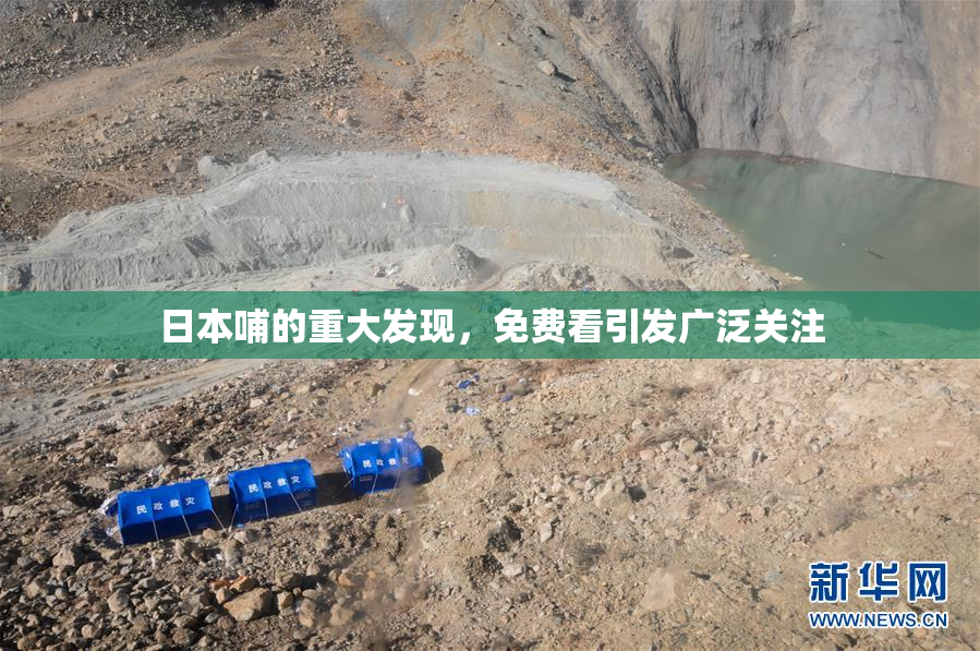 日本哺的重大发现，免费看引发广泛关注