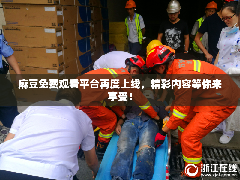 麻豆免费观看平台再度上线，精彩内容等你来享受！