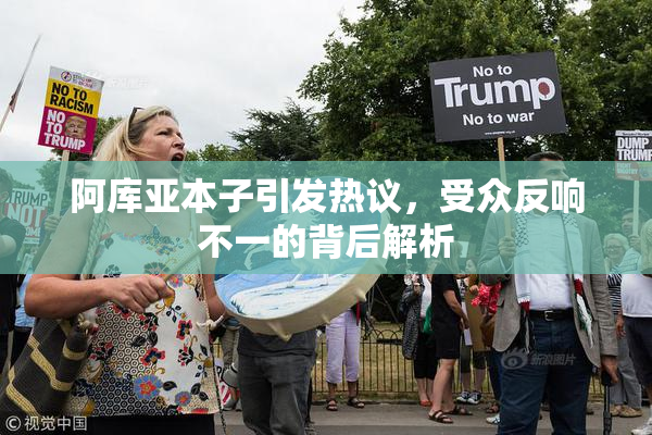 阿库亚本子引发热议，受众反响不一的背后解析