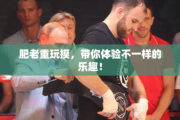 肥老重玩摸，带你体验不一样的乐趣！