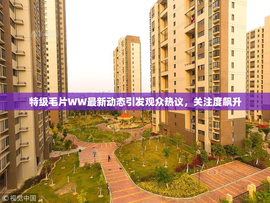 特级毛片WW最新动态引发观众热议，关注度飙升