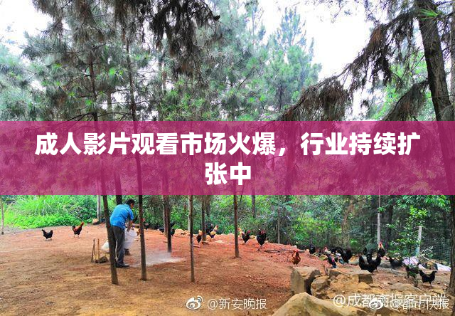 成人影片观看市场火爆，行业持续扩张中