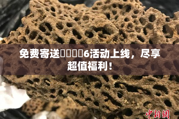 免费寄送❌‌❌‌6活动上线，尽享超值福利！
