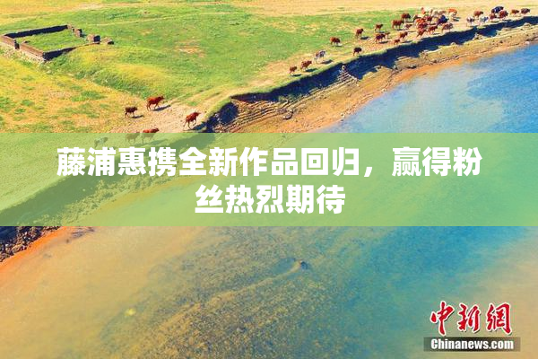 藤浦惠携全新作品回归，赢得粉丝热烈期待