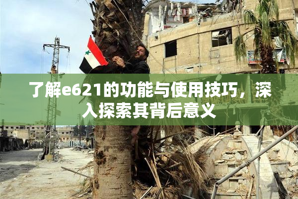 了解e621的功能与使用技巧，深入探索其背后意义