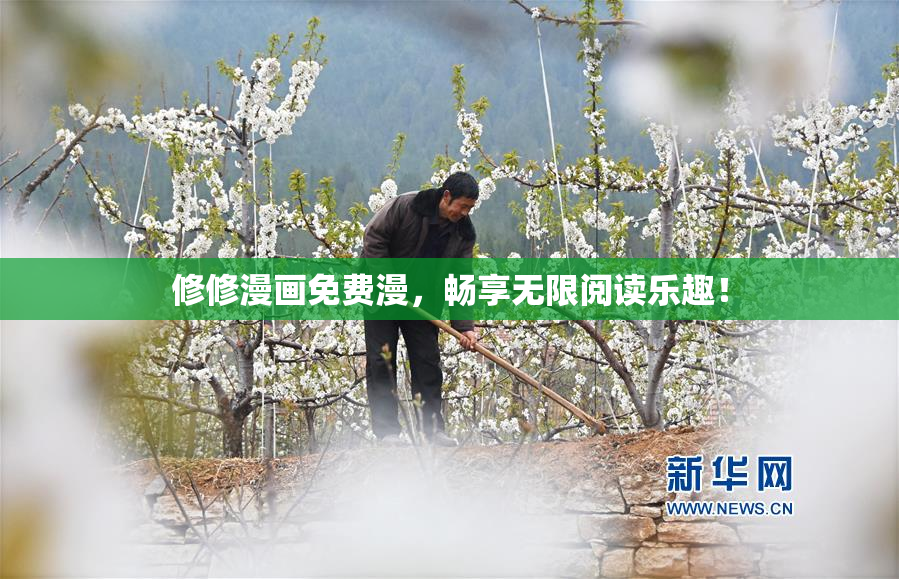 修修漫画免费漫，畅享无限阅读乐趣！