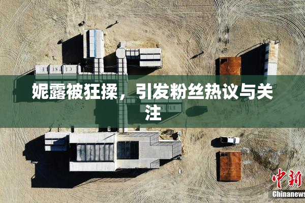 妮露被狂揉，引发粉丝热议与关注