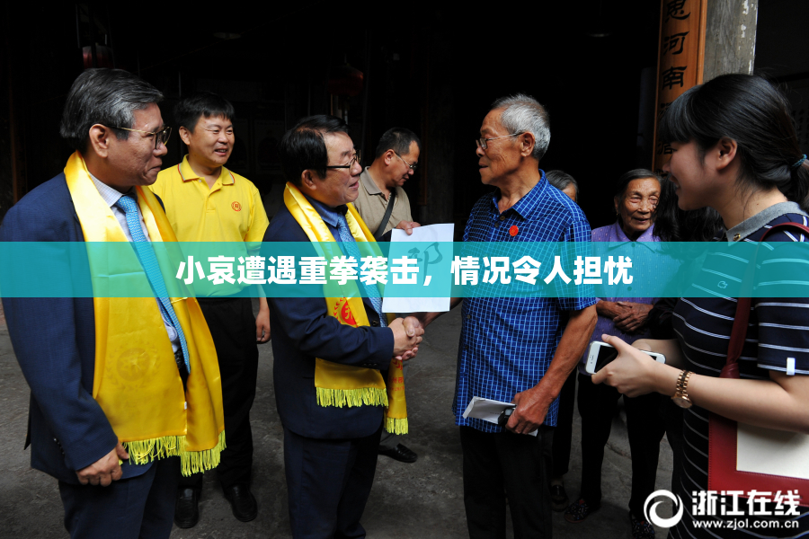 小哀遭遇重拳袭击，情况令人担忧