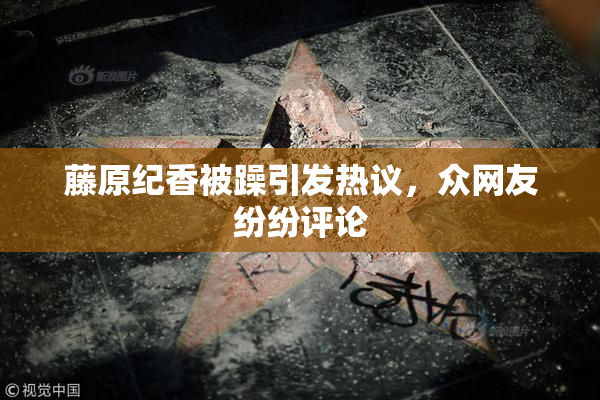 藤原纪香被躁引发热议，众网友纷纷评论