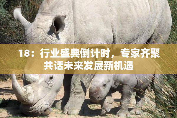 18：行业盛典倒计时，专家齐聚共话未来发展新机遇