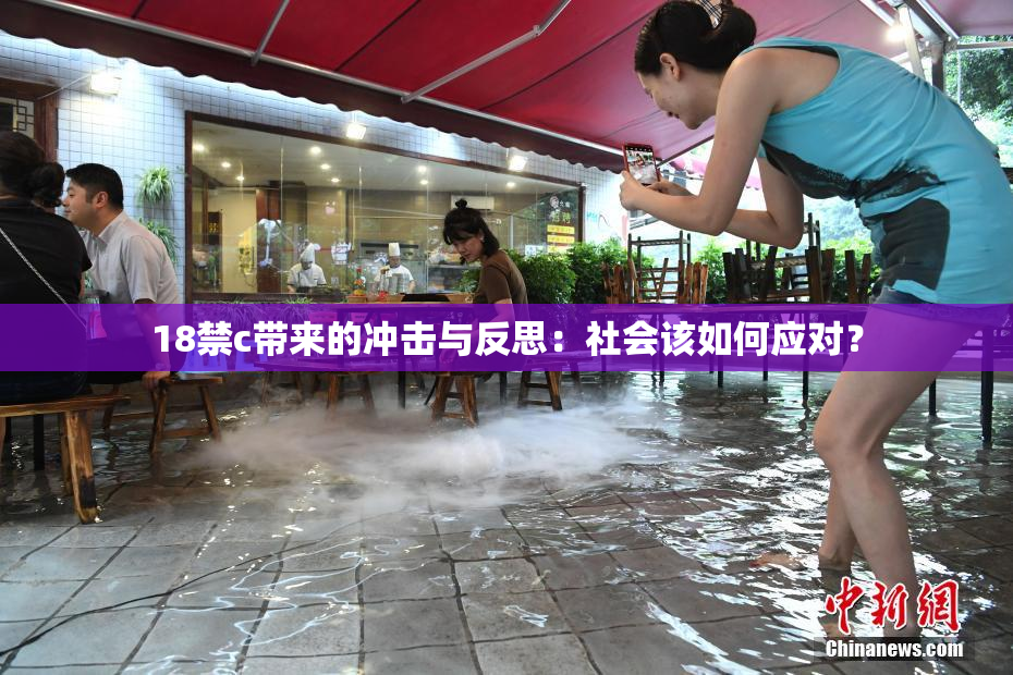 18禁c带来的冲击与反思：社会该如何应对？