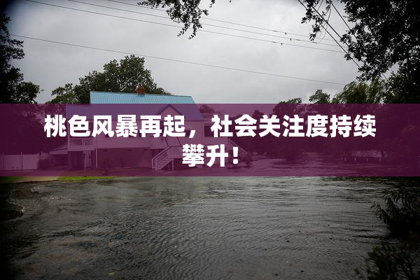 桃色风暴再起，社会关注度持续攀升！