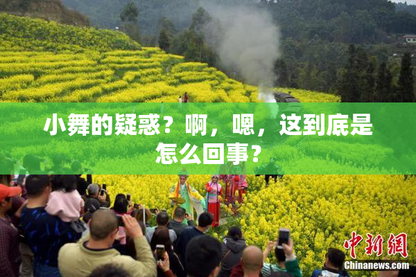小舞的疑惑？啊，嗯，这到底是怎么回事？