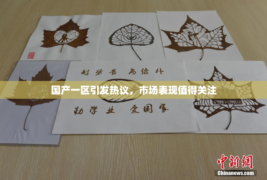国产一区引发热议，市场表现值得关注