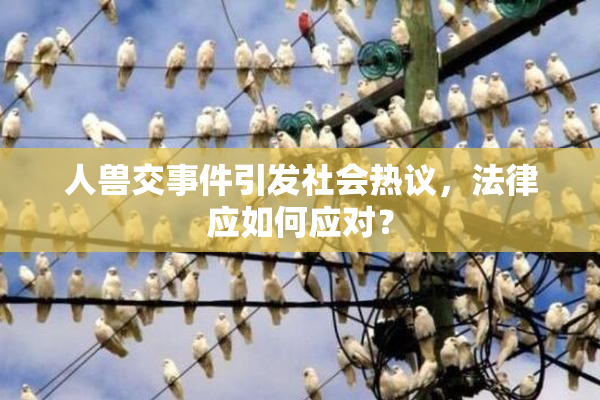 人兽交事件引发社会热议，法律应如何应对？