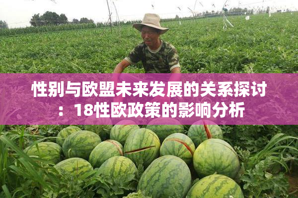 性别与欧盟未来发展的关系探讨：18性欧政策的影响分析