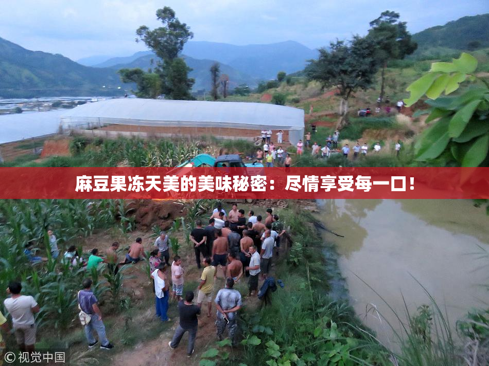 麻豆果冻天美的美味秘密：尽情享受每一口！