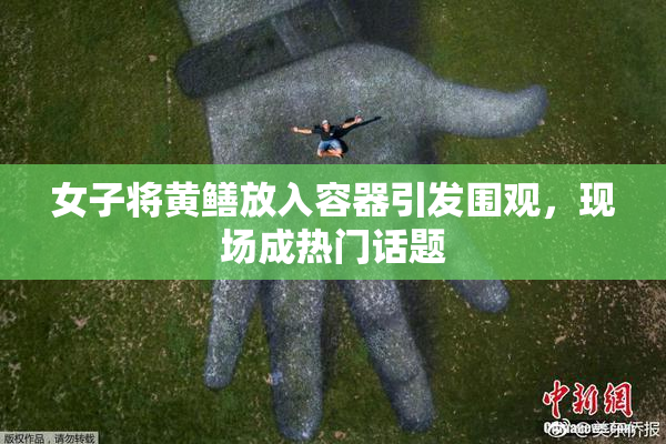 女子将黄鳝放入容器引发围观，现场成热门话题