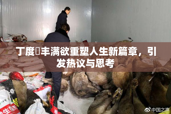 丁度巜丰满欲重塑人生新篇章，引发热议与思考