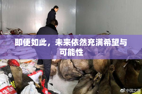 即便如此，未来依然充满希望与可能性