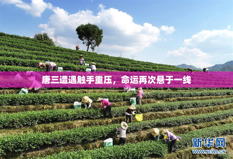 唐三遭遇触手重压，命运再次悬于一线
