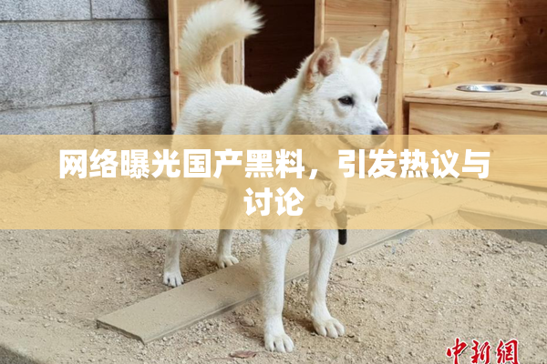 网络曝光国产黑料，引发热议与讨论