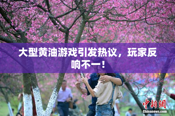 大型黄油游戏引发热议，玩家反响不一！