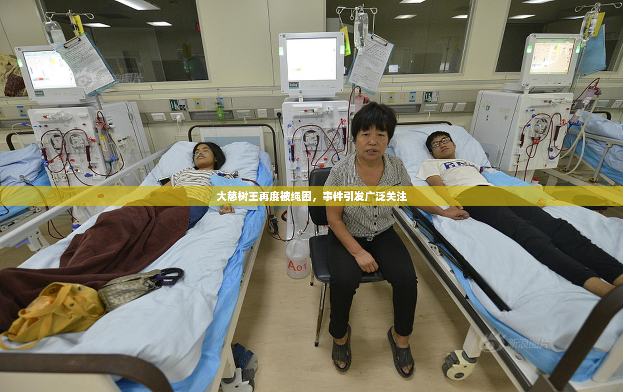大慈树王再度被绳困，事件引发广泛关注