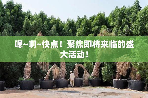 嗯~啊~快点！聚焦即将来临的盛大活动！