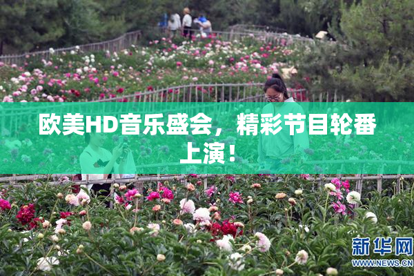 欧美HD音乐盛会，精彩节目轮番上演！