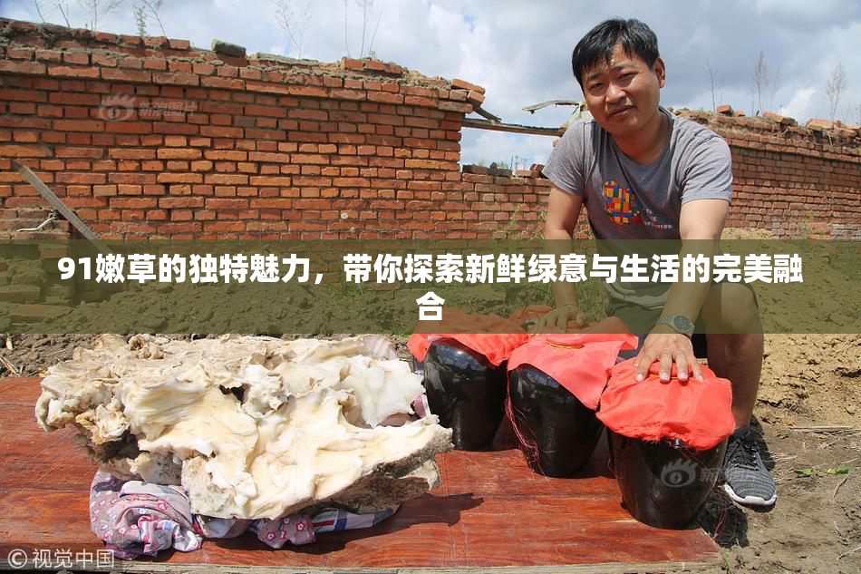 91嫩草的独特魅力，带你探索新鲜绿意与生活的完美融合