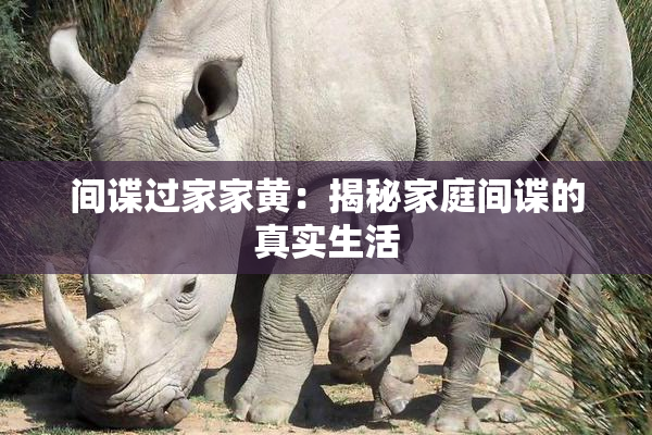 间谍过家家黄：揭秘家庭间谍的真实生活