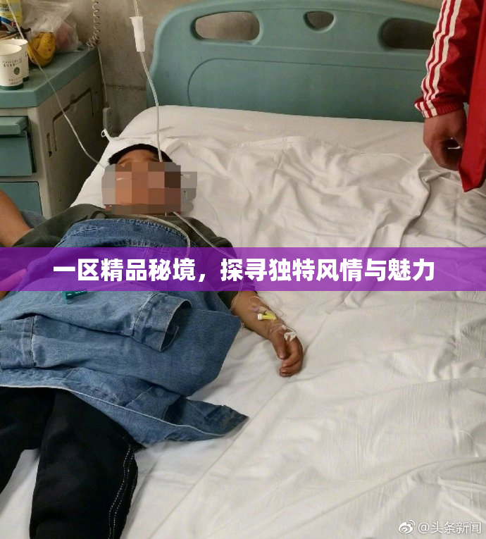 一区精品秘境，探寻独特风情与魅力