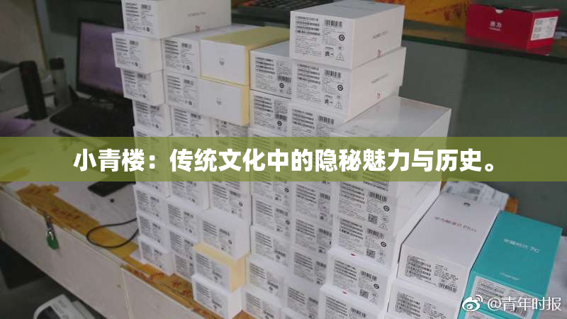 小青楼：传统文化中的隐秘魅力与历史。