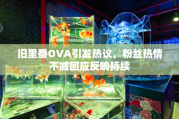 旧里番OVA引发热议，粉丝热情不减回应反响持续