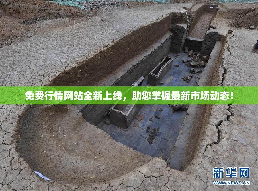 免费行情网站全新上线，助您掌握最新市场动态！